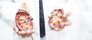 The Role of Immunosuppressant Medication in Kidney Transplant