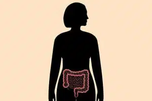 small bowel transplant