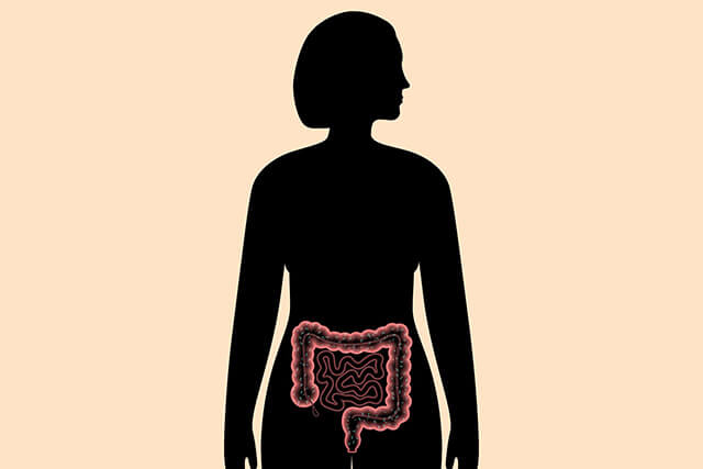 Small Bowel Transplant