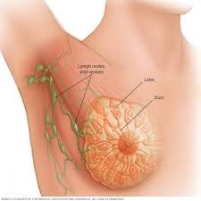 Best Breast Cancer Treatment Hospitals in Iran