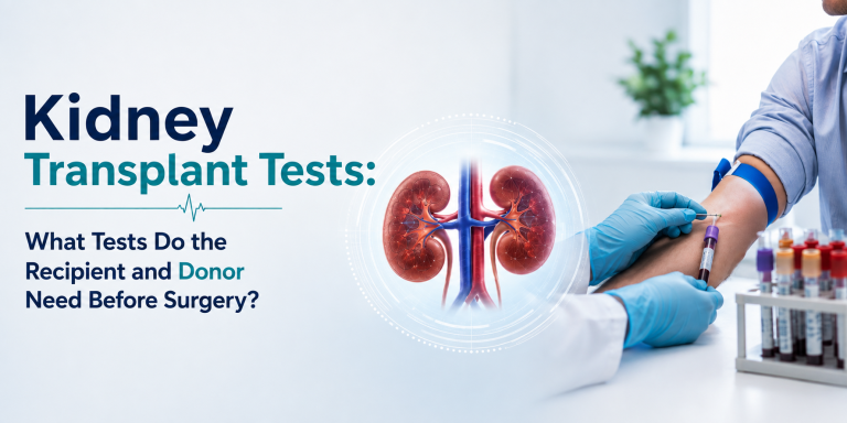 Kidney Transplant Tests: What Recipients and Donors Need Before Surgery